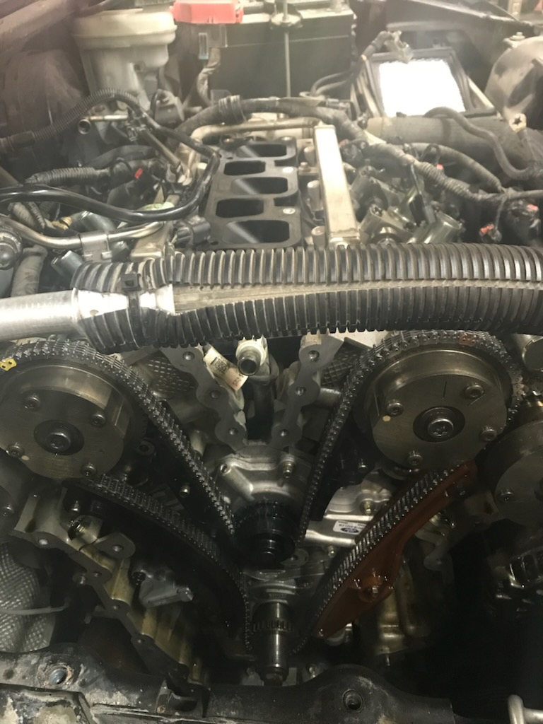 Timing chain service in progress